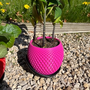 3D gedruckte Blumentopf Pflanzschale mit passender Abtropfschale