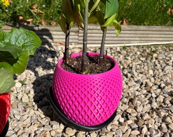 Plant Pot with Drainage Tray – Modern Planter – Custom Color Planter – 3D printed