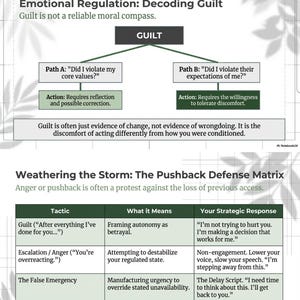 May include: A diagram explaining emotional regulation, focusing on guilt and the 'Pushback Defense Matrix'. The text includes flowcharts and tables detailing tactics, meanings, and strategic responses to conflict.