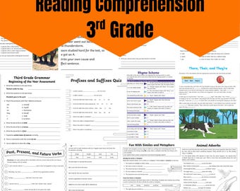 Reading Comprehension 3rd Grade Worksheets | Printable Passages & Questions | Literacy Activities | PDF Instant Download