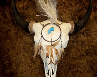 Real Bison Skull | Large Western Wall Decor | Ethically Sourced Bone Art