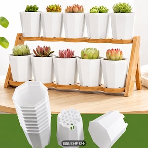 May include: A two-tiered bamboo plant stand holding ten white hexagonal plastic pots with various succulents. Below, a stack of empty white hexagonal pots is shown alongside a single pot displaying its drainage holes and the text BSHP 12.