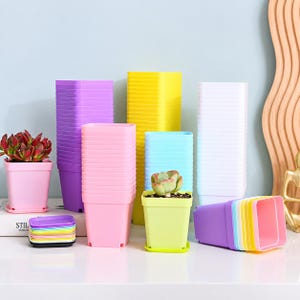 May include: A collection of square plastic plant pots in various pastel colors including purple, yellow, white, pink, and light blue. The pots are stacked in columns, with some individual pots holding small succulent plants and matching saucers.