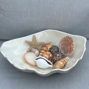 Large ceramic Aromatique clamshell decorative bowl with preserved starfish and sea shells