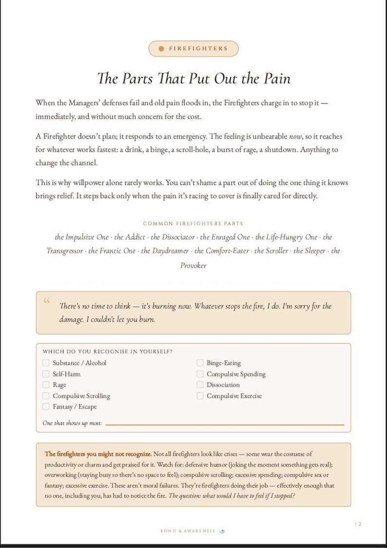 IFS Workbook, Internal Family Systems Worksheets, Parts & Self-Leadership Wheel Printable, Parts Mapping Template, Therapy Resources PDF image 8