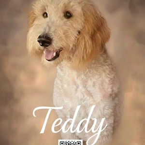 May include: A portrait of a fluffy, light-coloured dog with a happy expression. The dog has a light brown coat and is smiling with its tongue visible. The name "Teddy" is written in cursive. A QR code and a website address are at the bottom.