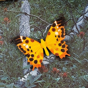 Butterfly Brooch/Magnet/Hairclip || Hand-painted, butterfly decor, butterfly jewelry