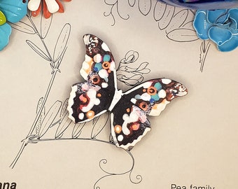 Hand-Painted Wooden Butterfly Magnet | Brooch | Hairclip