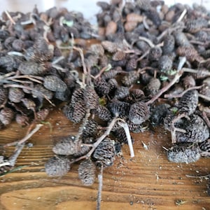 May include: A white ceramic mug with a colorful floral design. The mug features a handle and a wide rim. The flowers are in shades of pink, purple, and yellow. The mug is likely for hot beverages.