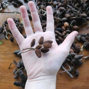 May include: A set of three ceramic mugs with a speckled, matte finish. Each mug features a different color: light blue, cream, and gray. The mugs have a simple, modern design and a comfortable handle.