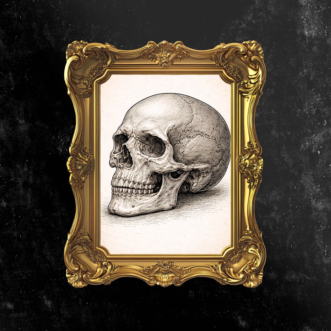 Vintage Skull Anatomy Art Print, Antique Human Skull Illustration ...
