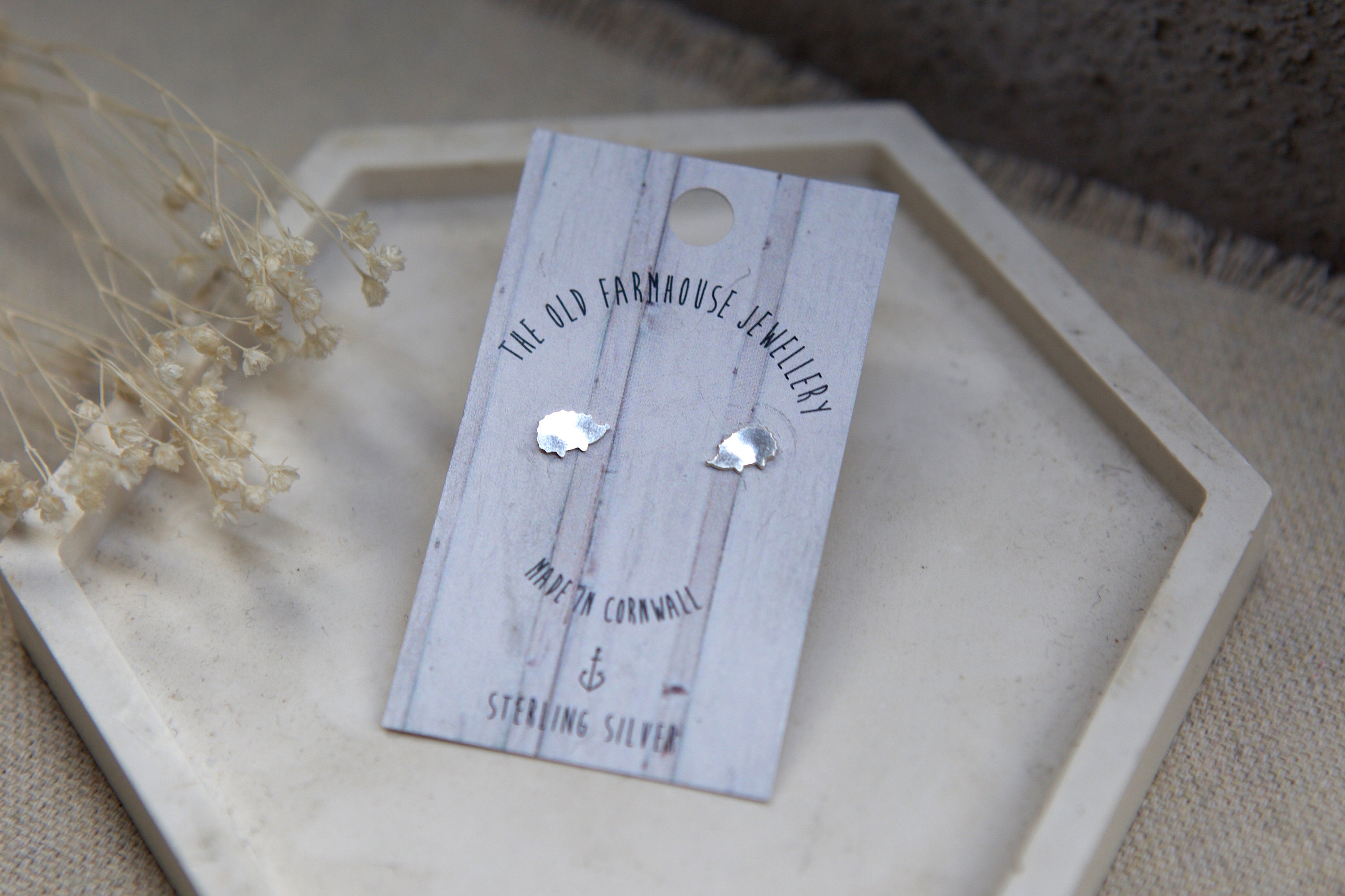 Clous D'oreille Argent Monstera - ZOGM017