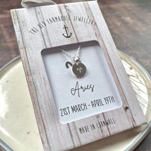 Horoscope Sterling Silver Charm Necklace