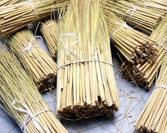 Natural Broom Corn with Stalks 24-36 Inch, Sorghum Broomcorn for Brooms, Crafts & Decor