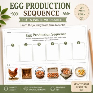 Folha de Atividades da Sequência de Produção de Ovos para Imprimir, Atividade de Recortar e Colar, Ovos da Fazenda à Mesa, Aula Montessori sobre Alimentos, PDF para Educação Infantil e Ensino Domiciliar