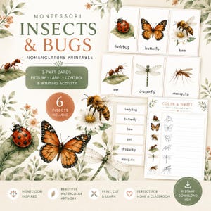 Può includere: Un set stampabile di nomenclatura Montessori su insetti e piccoli animali con illustrazioni ad acquerello di coccinella, farfalla, ape, formica, libellula e zanzara. Include carte in tre parti, etichette e un foglio di attività da colorare.