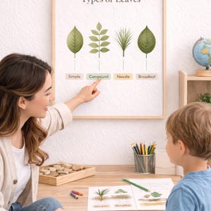 Op de afbeelding: Een ingelijste poster getiteld "Types of Leaves" met illustraties van eenvoudige, samengestelde, naald- en breedbladige bladeren. Een vrouw wijst naar het "Compound" bladtype en geeft les aan een jongen. Een wereldbol en potloden zijn zichtbaar.