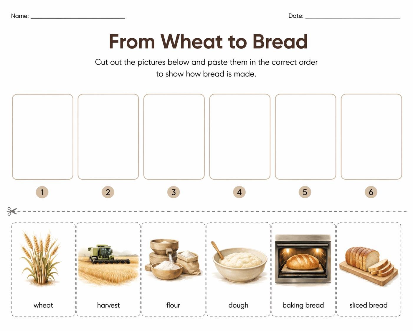 Wheat to Bread Sequence Cut and Paste Activity, Montessori Food Process ...