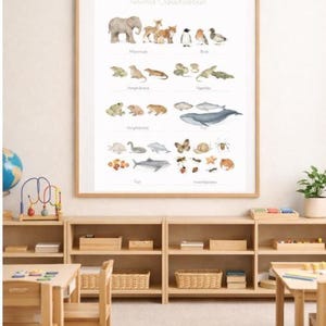 Póster de clasificación de animales Montessori, tabla científica en acuarela (descarga digital)