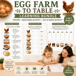 Pode incluir: Pacote de aprendizagem educacional "Da Fazenda à Mesa" com cartaz, atividade de correspondência e atividade de recorte e colagem. Apresenta imagens de galinhas, ovos e o processo de produção de ovos. Perfeito para pré-escola e jardim de infância.