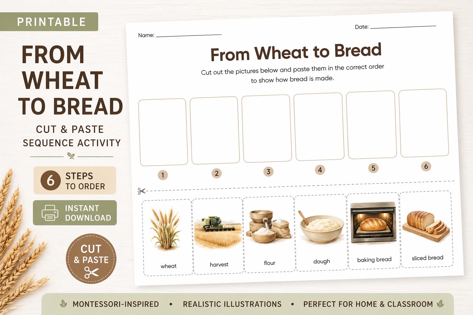Wheat to Bread Sequence Cut and Paste Activity, Montessori Food Process ...