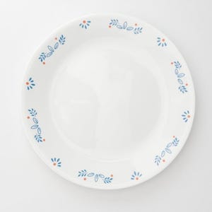 May include: White ceramic plate with a floral design. The plate features a repeating pattern of blue leaves and small orange dots around the rim. The plate has a simple, clean design.