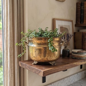 May include: A large, antique brass planter with a leafy green plant inside. The planter has ornate feet and handles. It sits on a dark wood shelf with books, coasters, and a small vase of dried flowers. A window with beige curtains is in the background.
