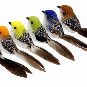 May include: Six colorful artificial birds with feathered tails. Each bird features a different color head, including red, orange, yellow, green, blue, and brown. The birds have white and black speckled bodies.