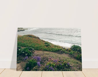 San Diego, Californië La Jolla Summer Flowers Oceanside Waves Beach View - Matte poster muurkunst kust