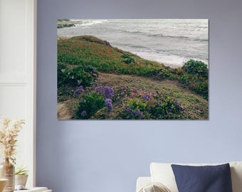 San Diego, Californië, La Jolla, zomerbloemen, oceaan, golven, uitzicht op het strand - Muurkunst kust, geborsteld aluminium