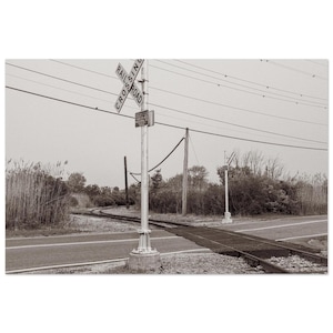 以下が含まれることがあります： モノクロ写真の踏切。画像には「RAILROAD CROSSING」の文字が入った標識と、線路を横切る道路が写っています。背景には電線と植生が見えます。
