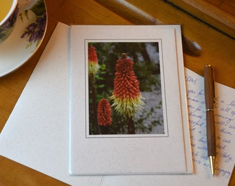Red Hot Poker Greeting Card on Recycled Paper