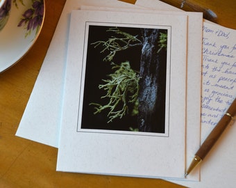 Tree Lichen Photo Card