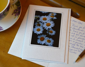 A Dozen Daisies Photo Card