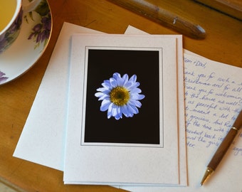 Shasta Daisy Photo Greeting Card