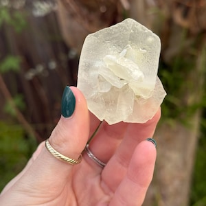 May include: A translucent, pale yellow mineral specimen with a distinct rosette or flower-like formation. The crystal features layered, petal-shaped plates that radiate from a central point, creating a delicate, organic structure with a smooth, glassy texture.