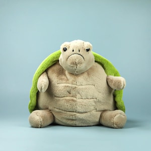 Può includere: Un peluche a forma di tartaruga con corpo marrone chiaro, guscio verde e espressione leggermente triste. Il peluche è su uno sfondo azzurro chiaro.