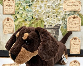 Peluche suave JellyCat Otto Medium con forma de perro salchicha, nuevo con etiquetas. Juguete de peluche para regalo.