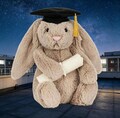 Jellycat Bashful Bunny Graduation Outfit Brand New With Tags & Dust Bag NEW product logo