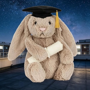Bag for Jellycat Bashful Bunny - Etsy