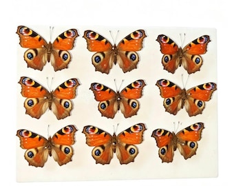 1-100 pcs natural Real Butterflies Specimen (Aglais io / Inachis io）Artwork Material Home Decoration DIY