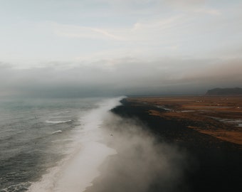 Lonely Bird - Vik, Iceland- Fine Art Photography Print