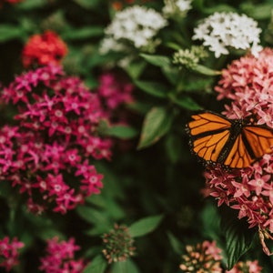 Resting Place - Fine Art Photography Print