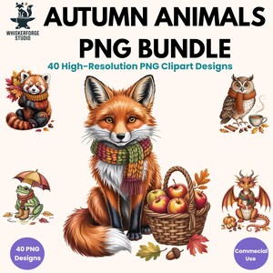 Autumn Animal PNG Bundle, Fall Woodland Animal Clipart, Cozy Forest Animals, Cute Animal PNG, Commercial Use, Printable Clip Art