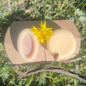 Può includere: Due saponette, una ovale e una rotonda, poggiano su una base di cartone marrone. Un dente di leone giallo brillante e una coccinella sono vicini. Il sapone è di colore beige chiaro e lo sfondo è erba verde.