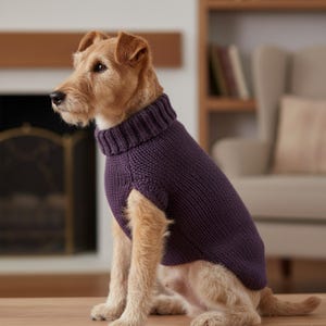 May include: A dog wearing a dark purple, knitted turtleneck sweater. The dog is light brown with a white chest and is sitting on a wooden surface. The sweater has a ribbed collar and a simple, classic design.