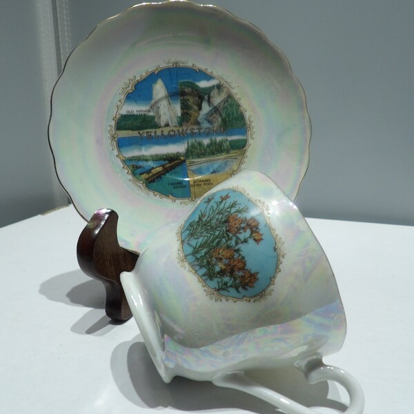 Yellowstone Dinnerware Etsy