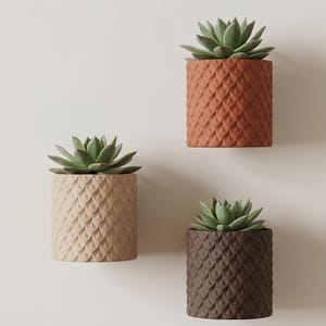 Puede incluir: Tres macetas cilíndricas de pared, cada una con una planta suculenta verde. Las macetas presentan un patrón texturizado de escamas repetitivas en el exterior y vienen en tres colores distintos: naranja terracota, beige claro y marrón oscuro.