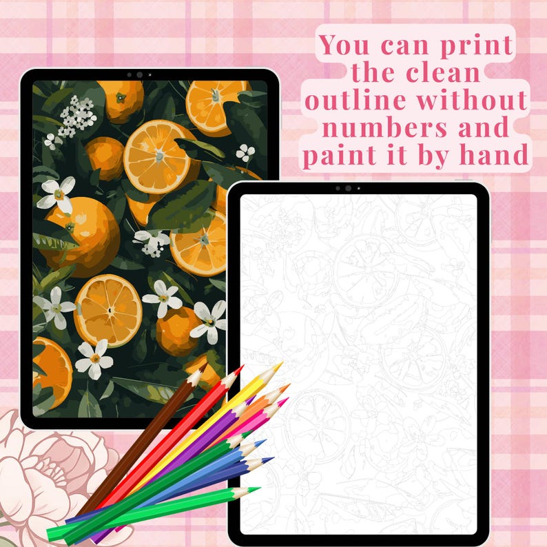 Orange Blossom Paint by Numbers | Botanical Citrus Art (digital ...