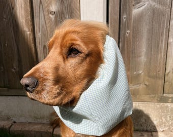 Snood per cocker spaniel